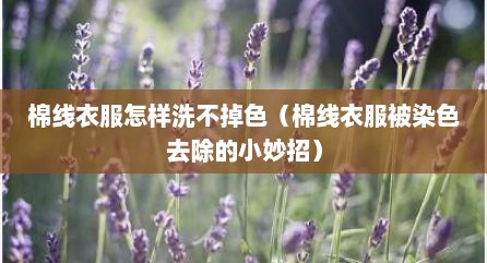 棉线衣服怎样洗不掉色（棉线衣服被染色去除的小妙招）