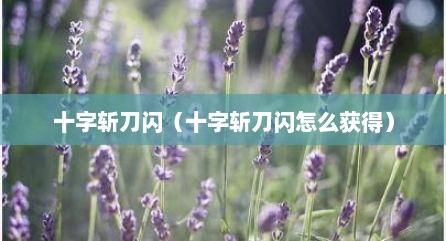 十字斩刀闪（十字斩刀闪怎么获得）