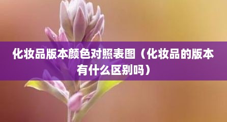 化妆品版本颜色对照表图（化妆品的版本有什么区别吗）