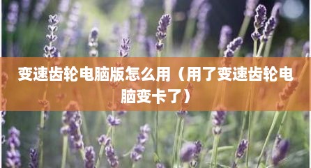 变速齿轮电脑版怎么用（用了变速齿轮电脑变卡了）