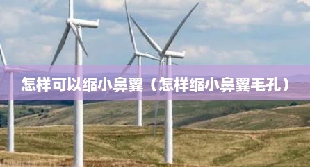 怎样可以缩小鼻翼（怎样缩小鼻翼毛孔）