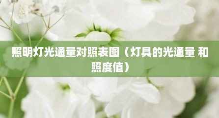 照明灯光通量对照表图（灯具的光通量 和照度值）