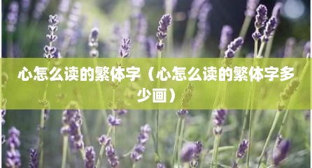 心怎么读的繁体字（心怎么读的繁体字多少画）