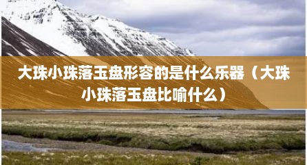 大珠小珠落玉盘形容的是什么乐器（大珠小珠落玉盘比喻什么）