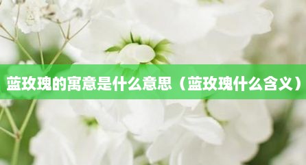 蓝玫瑰的寓意是什么意思（蓝玫瑰什么含义）