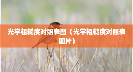 光学粗糙度对照表图（光学粗糙度对照表图片）