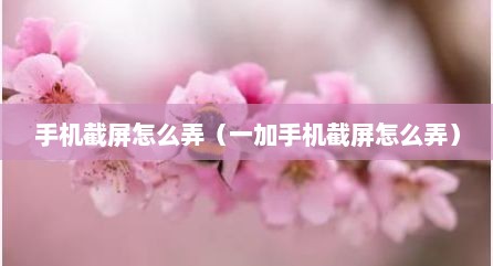 手机截屏怎么弄（一加手机截屏怎么弄）
