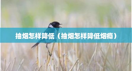 抽烟怎样降低（抽烟怎样降低烟瘾）