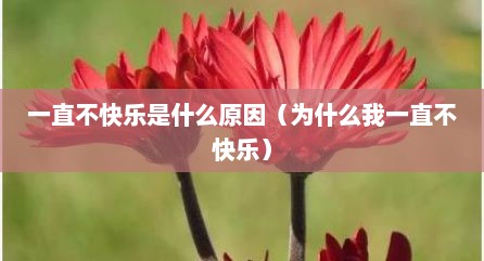 一直不快乐是什么原因（为什么我一直不快乐）