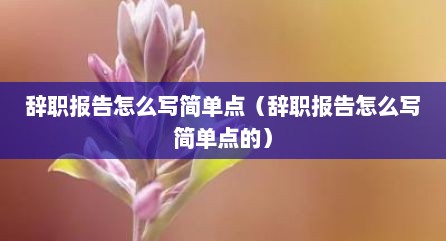 辞职报告怎么写简单点（辞职报告怎么写简单点的）