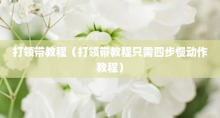 打领带教程（打领带教程只需四步慢动作教程）