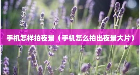 手机怎样拍夜景（手机怎么拍出夜景大片）
