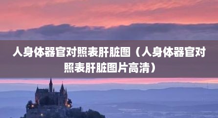 人身体器官对照表肝脏图（人身体器官对照表肝脏图片高清）