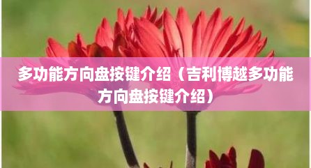 多功能方向盘按键介绍（吉利博越多功能方向盘按键介绍）