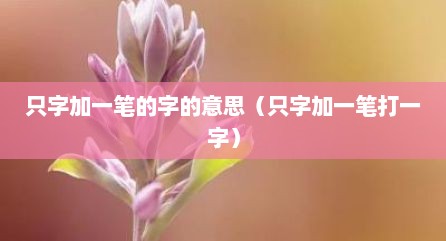 只字加一笔的字的意思（只字加一笔打一字）