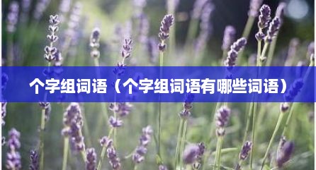 个字组词语（个字组词语有哪些词语）