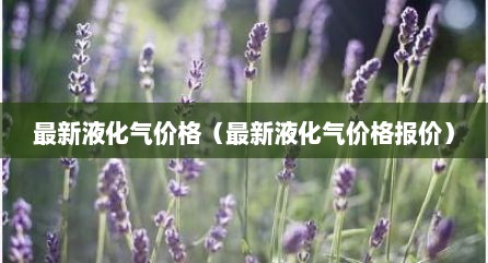 最新液化气价格（最新液化气价格报价）