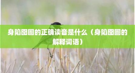 身陷囹圄的正确读音是什么（身陷囹圄的解释词语）