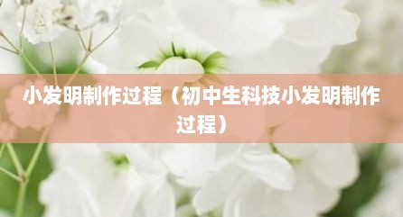 小发明制作过程（初中生科技小发明制作过程）