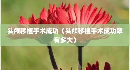 头颅移植手术成功（头颅移植手术成功率有多大）