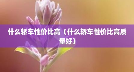 什么轿车性价比高（什么轿车性价比高质量好）