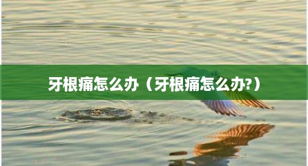 牙根痛怎么办（牙根痛怎么办?）