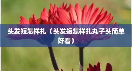 头发短怎样扎（头发短怎样扎丸子头简单好看）