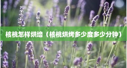 核桃怎样烘培（核桃烘烤多少度多少分钟）