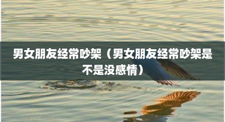 男女朋友经常吵架（男女朋友经常吵架是不是没感情）