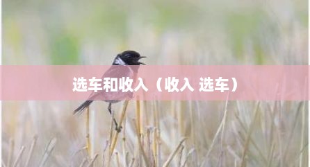 选车和收入（收入 选车）