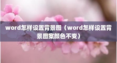 word怎样设置背景图（word怎样设置背景图案颜色不变）