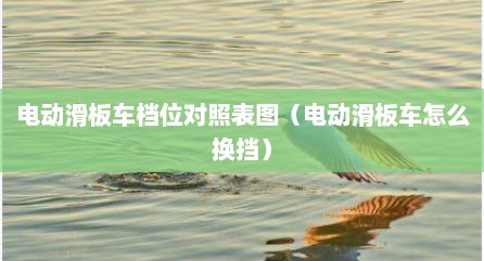电动滑板车档位对照表图（电动滑板车怎么换挡）