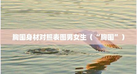 胸围身材对照表图男女生（“胸围”）