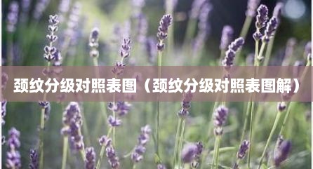 颈纹分级对照表图（颈纹分级对照表图解）