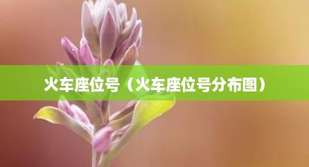 火车座位号（火车座位号分布图）