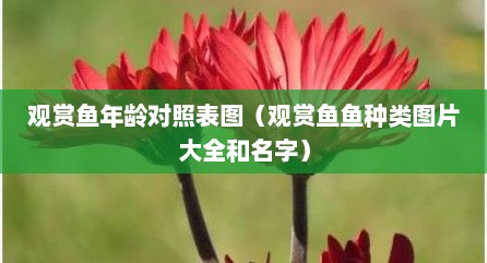 观赏鱼年龄对照表图（观赏鱼鱼种类图片大全和名字）