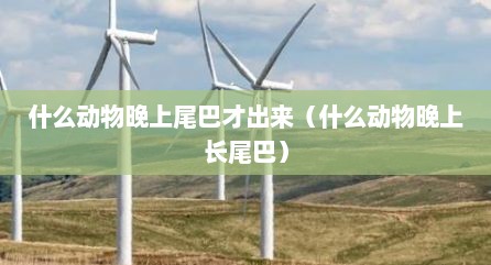 什么动物晚上尾巴才出来（什么动物晚上长尾巴）