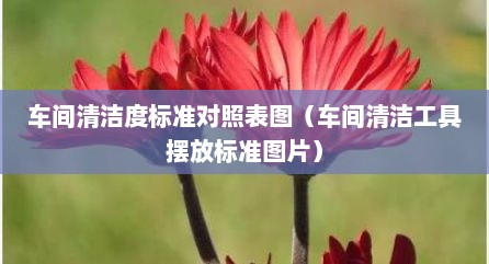 车间清洁度标准对照表图（车间清洁工具摆放标准图片）
