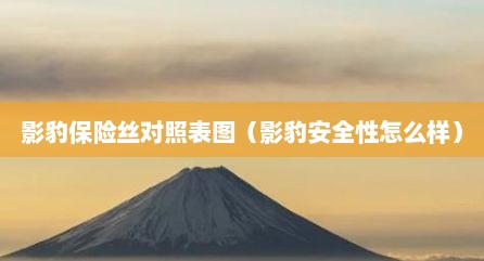 影豹保险丝对照表图（影豹安全性怎么样）