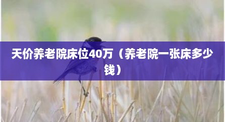 天价养老院床位40万（养老院一张床多少钱）