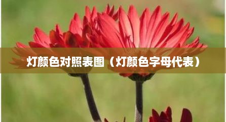 灯颜色对照表图（灯颜色字母代表）
