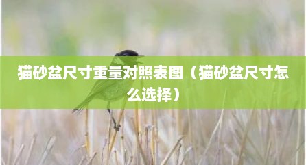 猫砂盆尺寸重量对照表图（猫砂盆尺寸怎么选择）