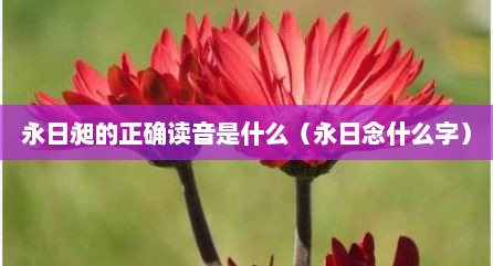 永日昶的正确读音是什么（永日念什么字）