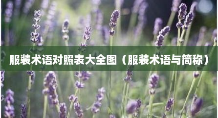 服装术语对照表大全图（服装术语与简称）