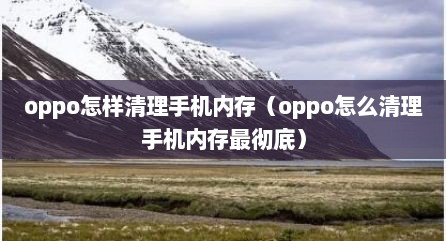 oppo怎样清理手机内存（oppo怎么清理手机内存最彻底）