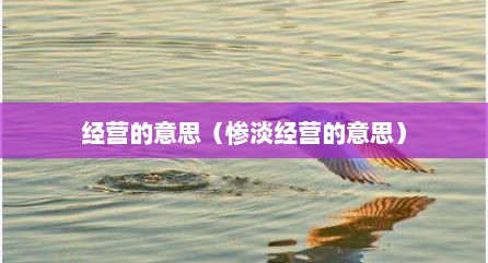 经营的意思（惨淡经营的意思）