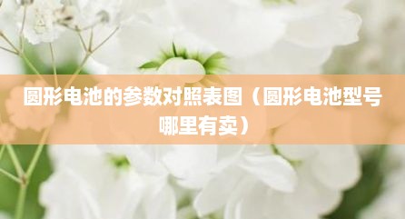圆形电池的参数对照表图（圆形电池型号哪里有卖）