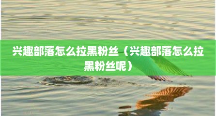兴趣部落怎么拉黑粉丝（兴趣部落怎么拉黑粉丝呢）