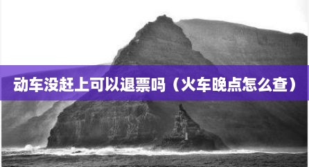 动车没赶上可以退票吗（火车晚点怎么查）