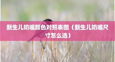 新生儿奶嘴颜色对照表图（新生儿奶嘴尺寸怎么选）